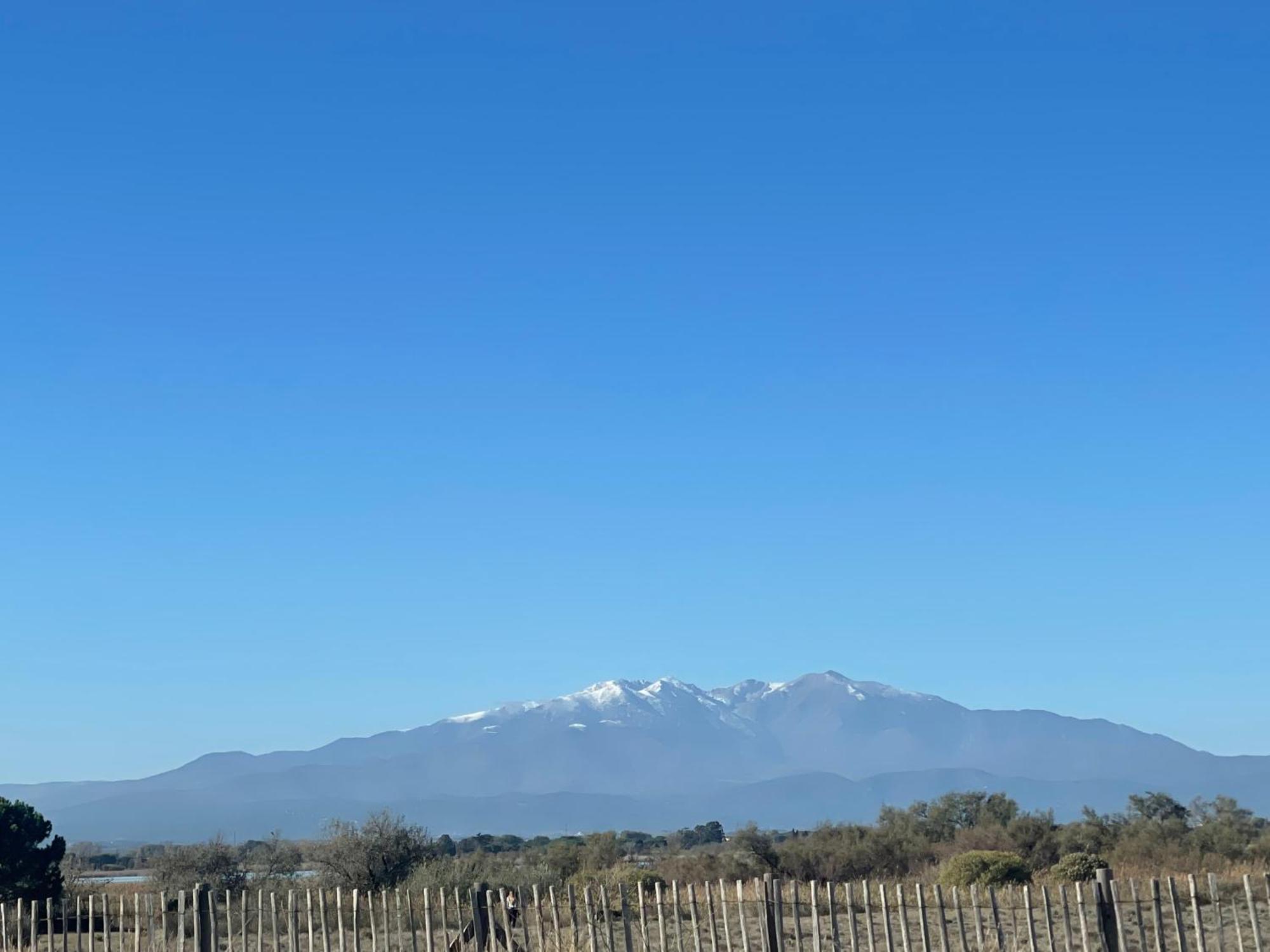 Magnifique Vue Coeur Station Balneaire F2 45 M2 Linge De Maison Inclus Canet-en-Roussillon